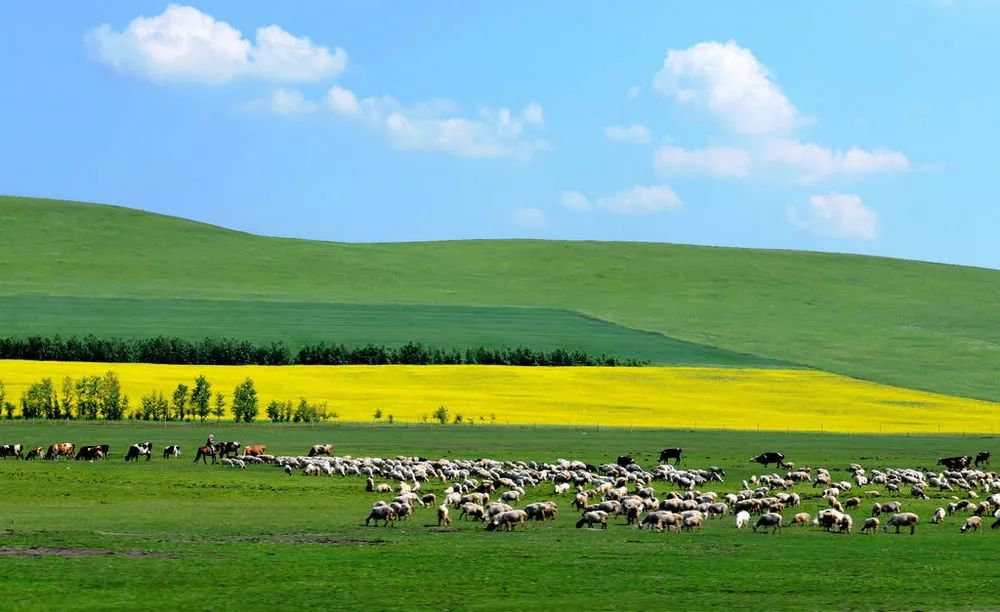 内蒙古之瑰丽，古风词韵描绘的草原风情