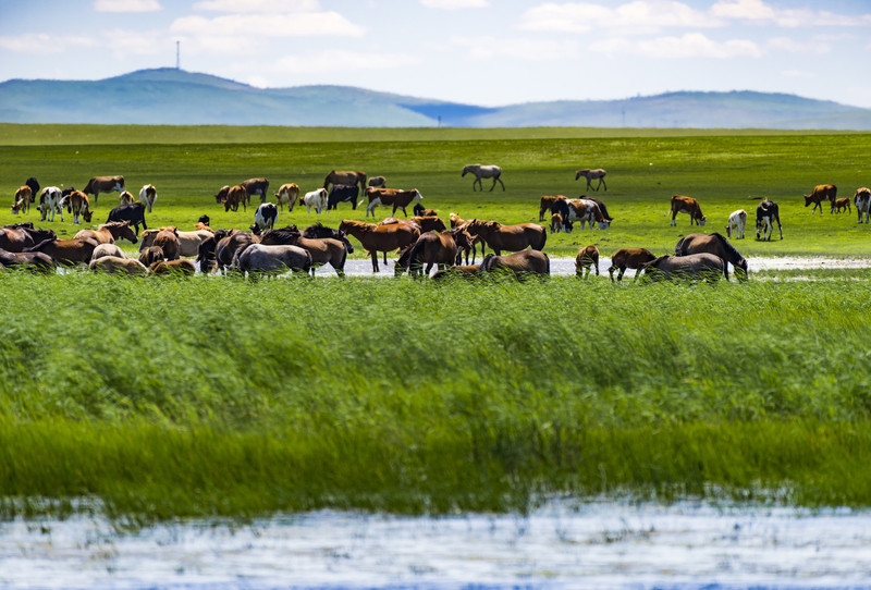 内蒙古，领导与同胞的尊谊共聚