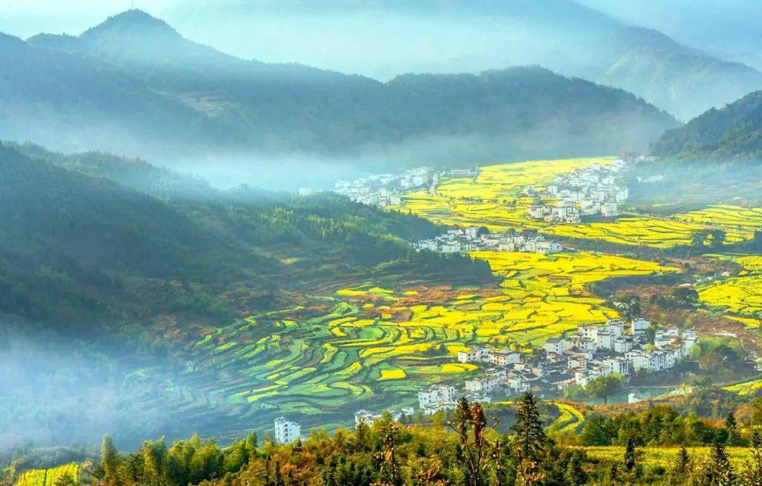 红色沃土上的绿色崛起，江西绿色发展奇迹